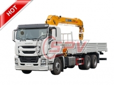 Cargo Crane Truck ISUZU